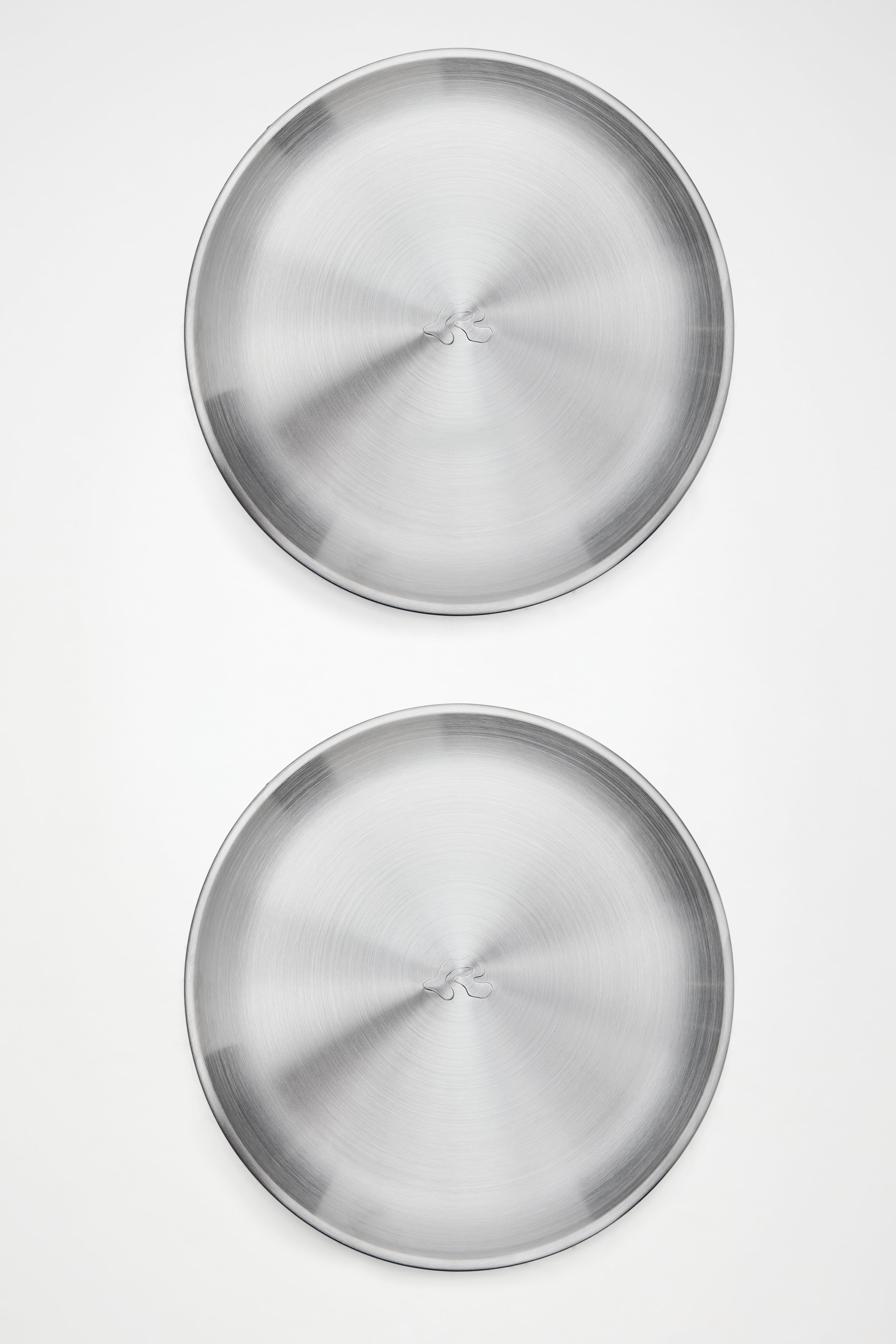 RAINS Stainless Steel 2-Pack Plates Steel Plates